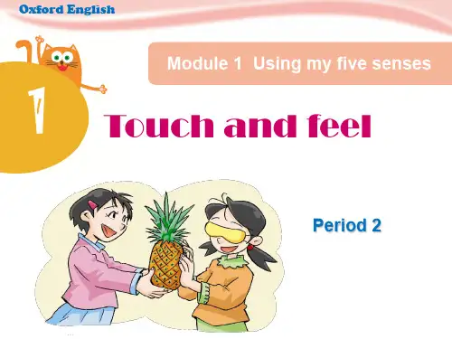 四年级下册英语课件-Unit 1《Touch and feel》(Period 2)｜牛津上海版(深圳用) (共15张PPT)