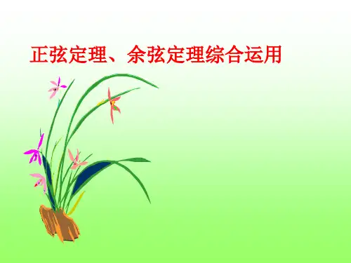 正余弦定理的综合运用