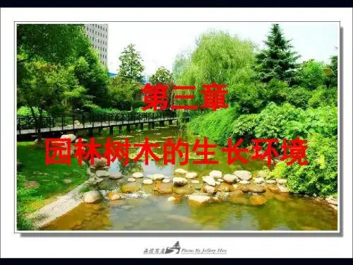 第三章园林树木的生长环境