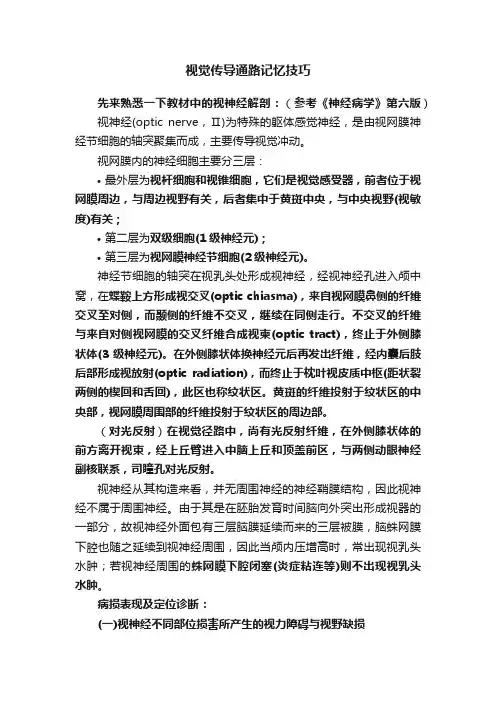 视觉传导通路记忆技巧