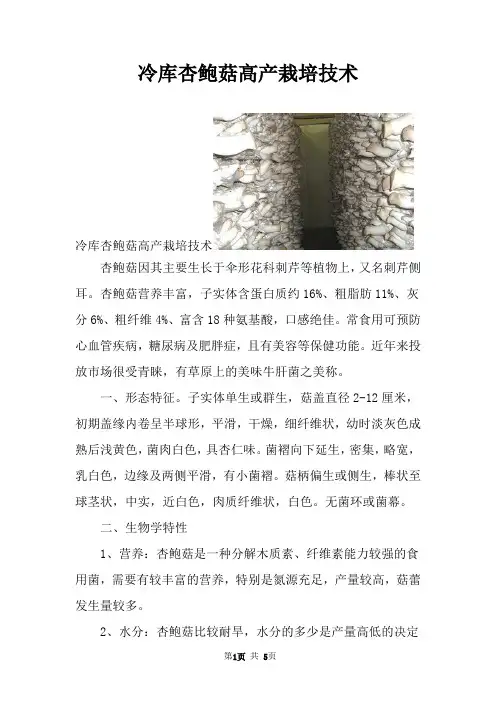 冷库杏鲍菇高产栽培技术