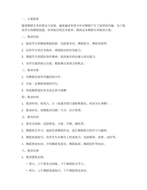 舞蹈专项集训方案