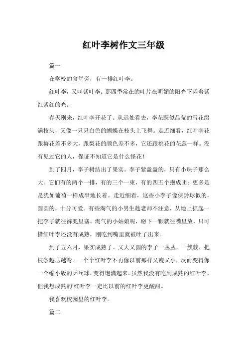 红叶李树作文三年级
