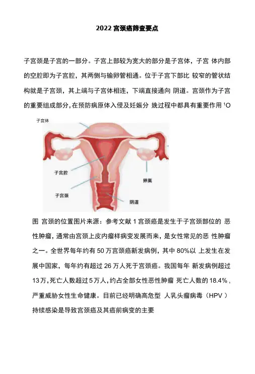 2022宫颈癌筛查要点