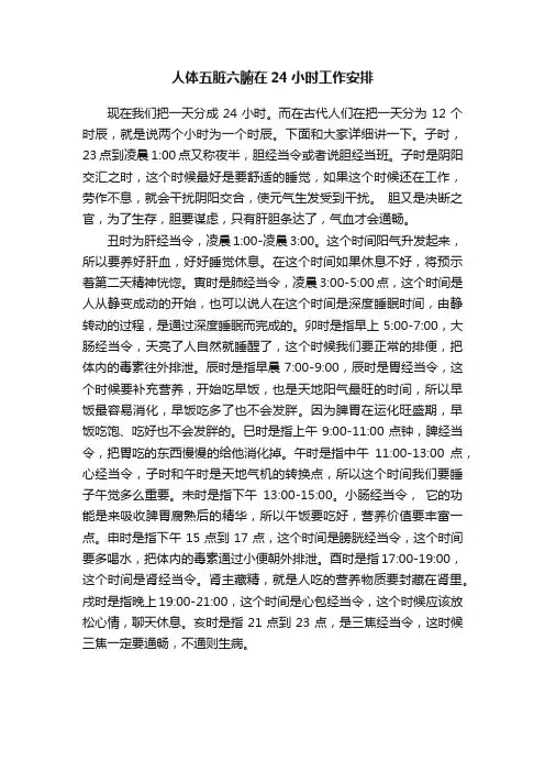 人体五脏六腑在24小时工作安排