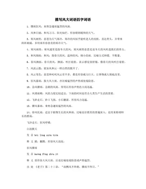 描写风大词语四字词语