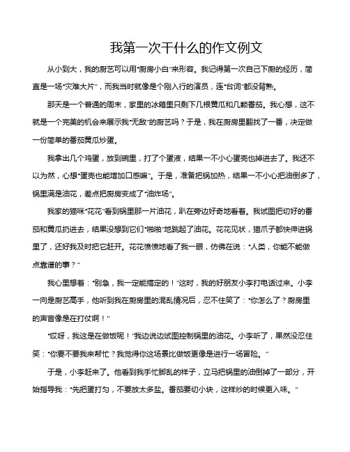 我第一次干什么的作文例文