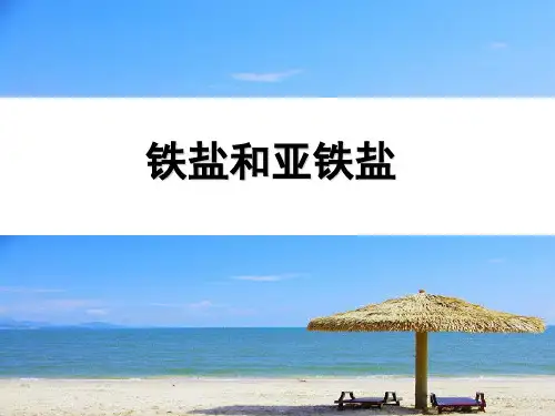 人教版《铁的重要化合物》时铁盐和亚铁盐 [1]演示PPT课件