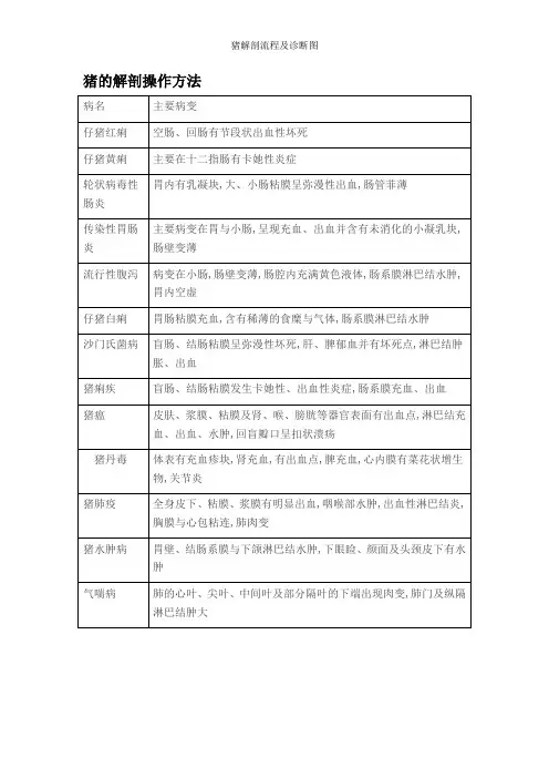 猪解剖流程及诊断图