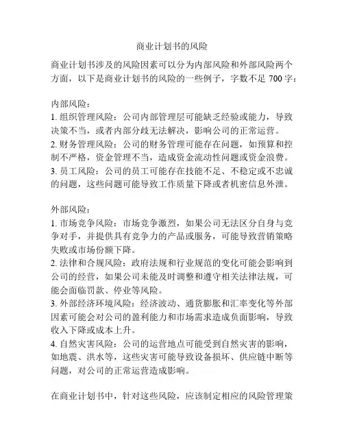 商业计划书的风险