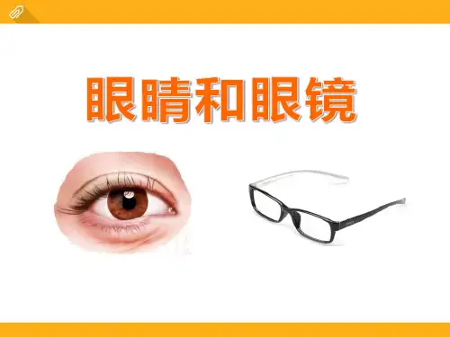 《眼睛和眼镜》透镜及其应用PPT课件六
