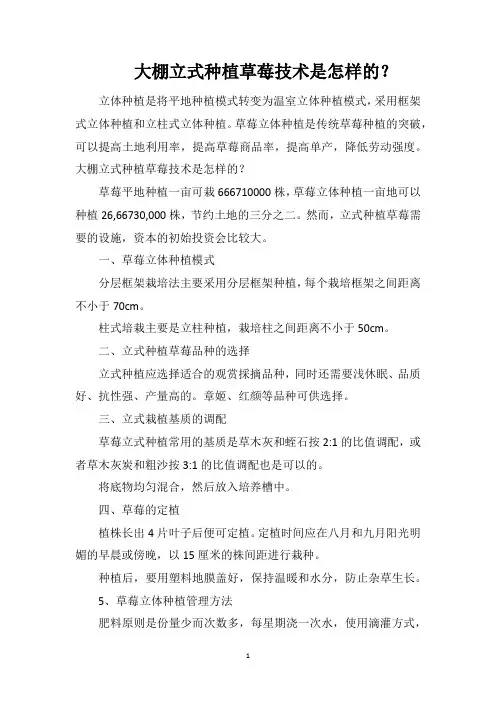 大棚立式种植草莓技术是怎样的？