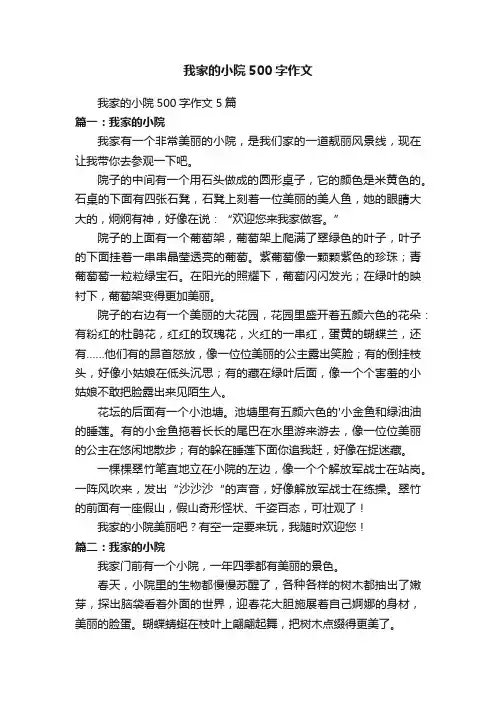 我家的小院500字作文