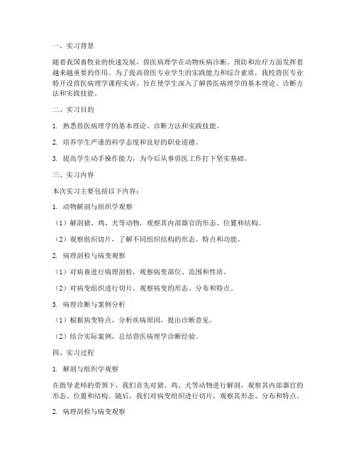 兽医病理学课程实训报告