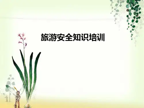 旅游安全知识培训ppt课件-安全知识培训ppt免费下载