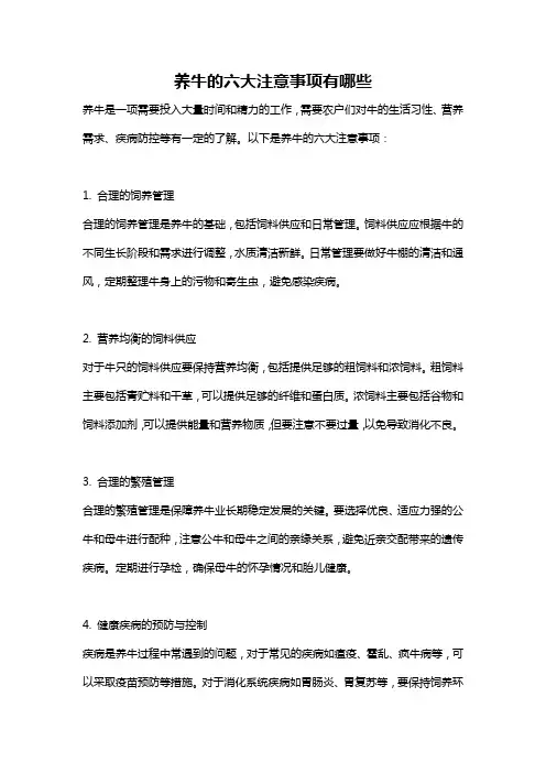 养牛的六大注意事项有哪些