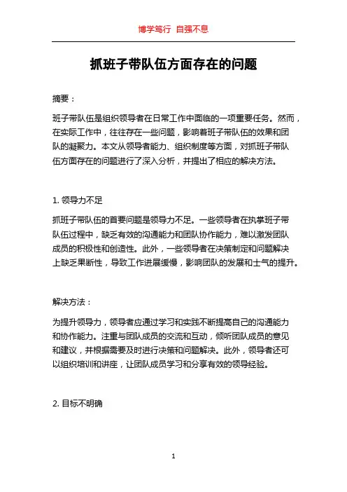 抓班子带队伍方面存在的问题