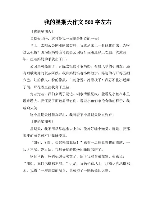 我的星期天作文500字左右