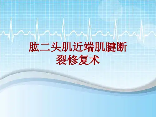 手术讲解模板：肱二头肌近端肌腱断裂修复术