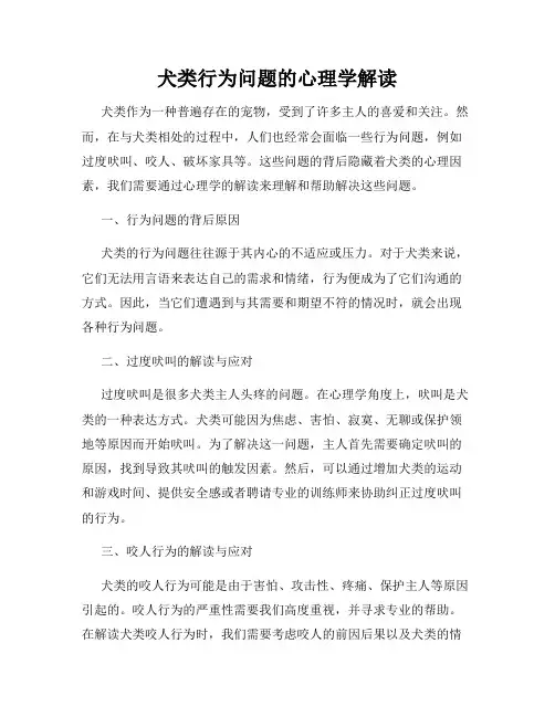 犬类行为问题的心理学解读