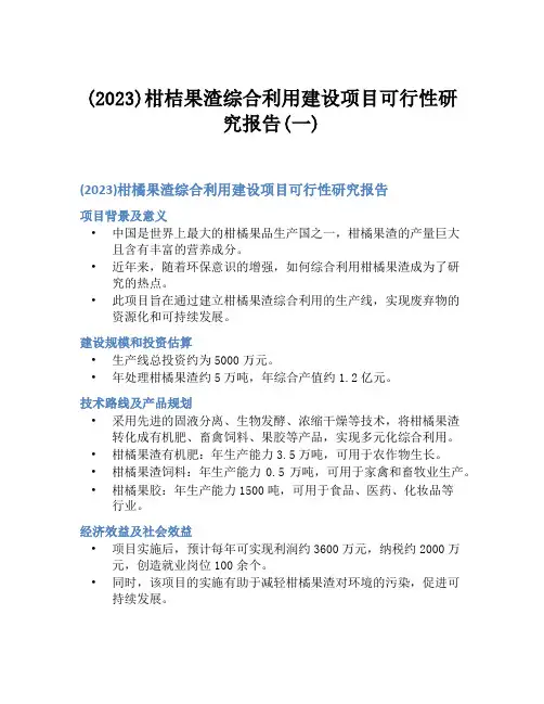 (2023)柑桔果渣综合利用建设项目可行性研究报告(一)
