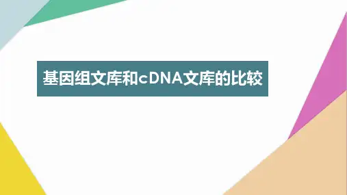 基因组文库和cDNA文库的比较(方案).ppt