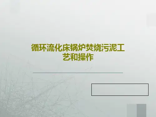循环流化床锅炉焚烧污泥工艺和操作共50页文档