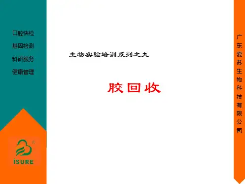 生物学实验之凝胶回收基础及操作