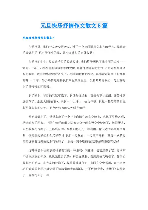 元旦快乐抒情作文散文5篇
