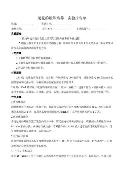 菊花的组织培养(实验报告)