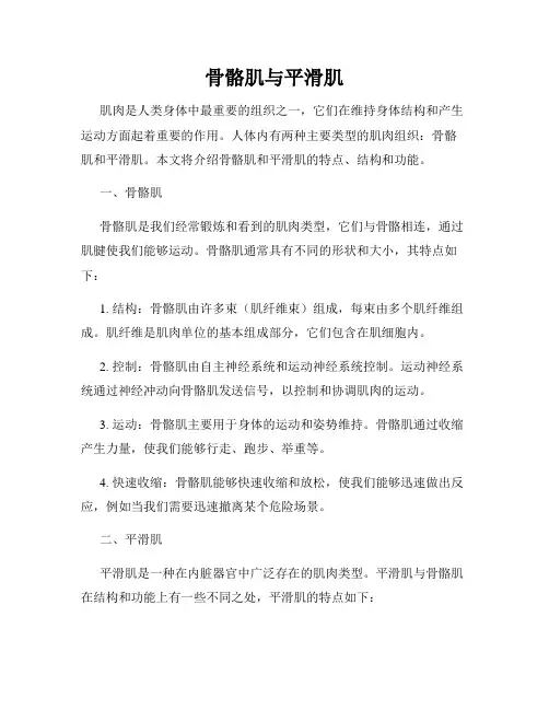 骨骼肌与平滑肌