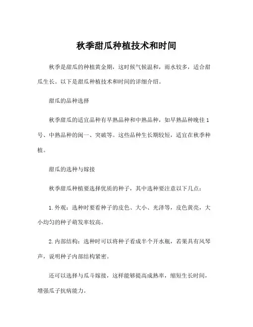 秋季甜瓜种植技术和时间