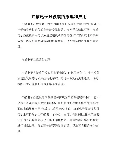 扫描电子显微镜的原理和应用