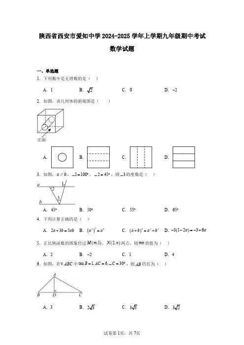 陕西省西安市爱知中学2024-2025学年上学期九年级期中考试数学试题