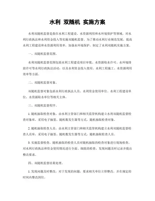 水利 双随机 实施方案