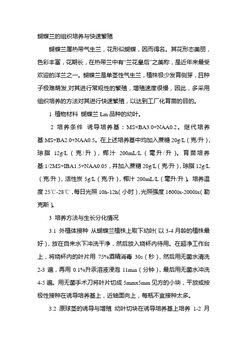 蝴蝶兰的组织培养与快速繁殖