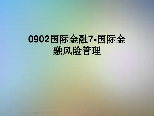 0902国际金融7-国际金融风险管理