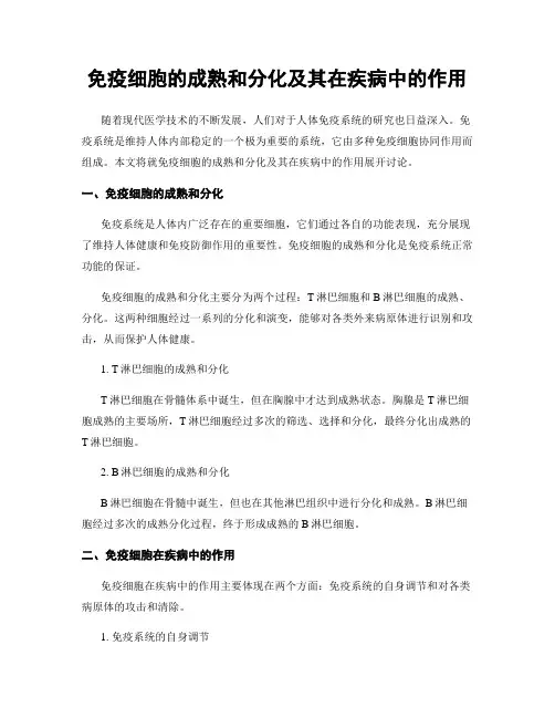 免疫细胞的成熟和分化及其在疾病中的作用