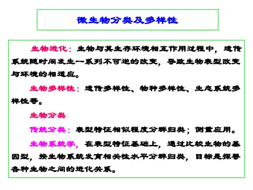 微生物学-微生物分类及多样性 PPT