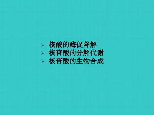 核酸的降解和核苷酸代谢(1)