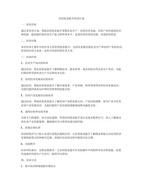 农村致富能手培训计划