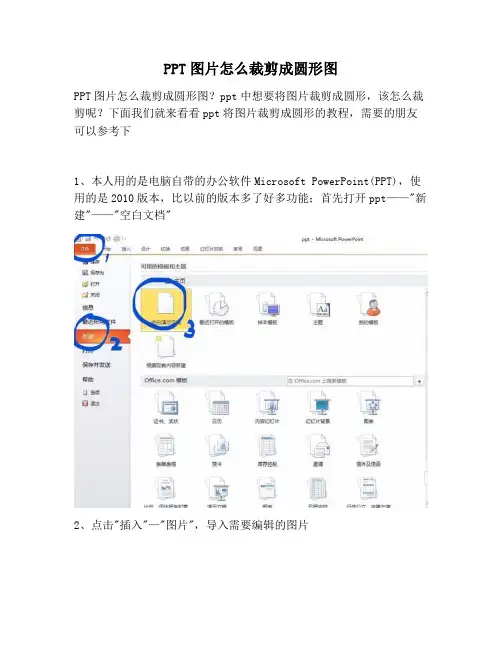 【PPT实用技巧】PPT图片怎么裁剪成圆形图