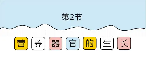 北师大版七年级生物上册.2营养器官的生长课件