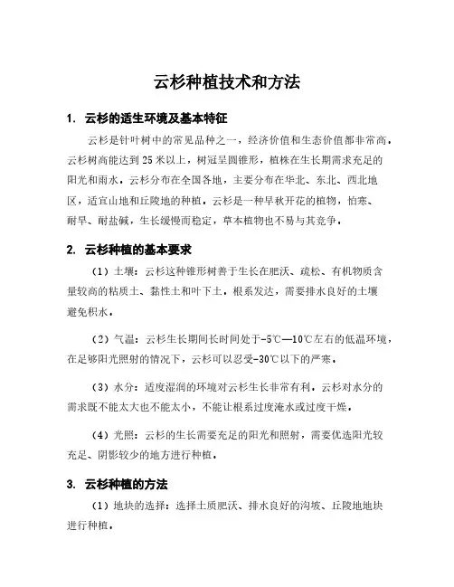 云杉种植技术和方法