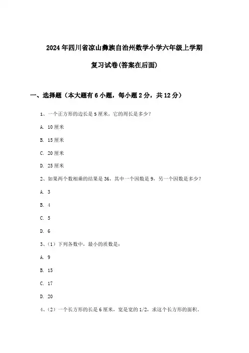 四川省凉山彝族自治州数学小学六年级上学期试卷与参考答案(2024年)