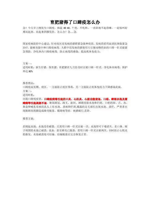 育肥猪得了口蹄疫怎么办