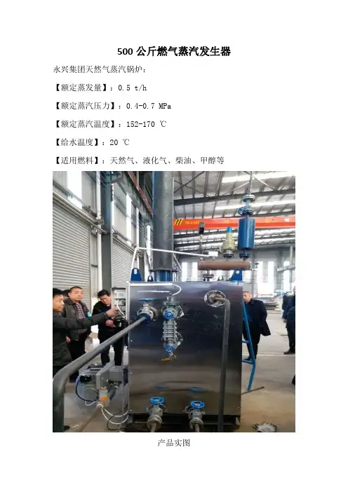 500公斤燃气蒸汽发生器