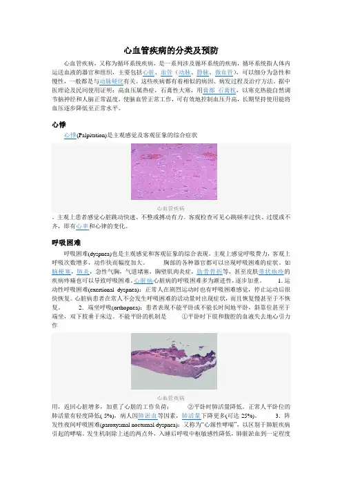 心血管疾病的分类及预防