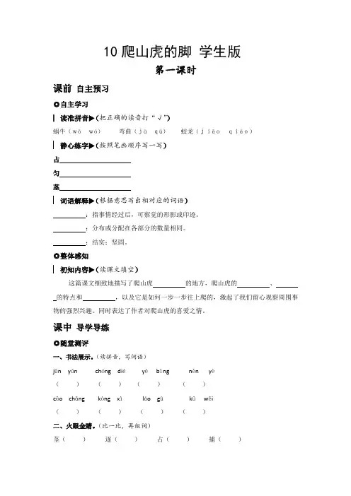 10爬山虎的脚  同步练习(含答案)