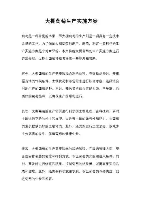 大棚葡萄生产实施方案